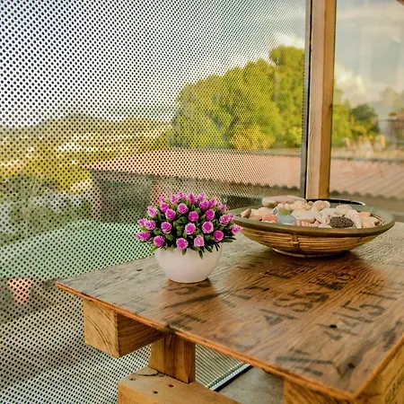 Дом отдыха A Vista Do Norte *